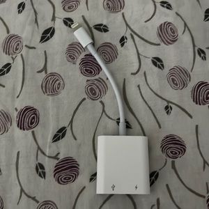 Apple adapter (lighting to USB)